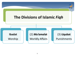 divisions of islamic fiqh