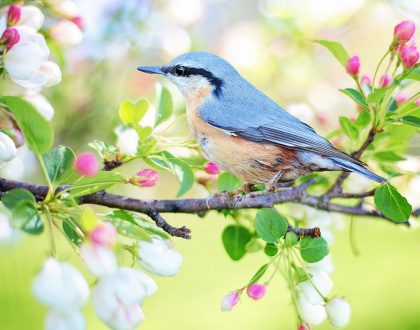 Spring clean your life