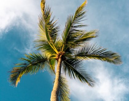 reflecting on the first khutbah
