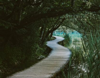 Should you follow a tariqa?
