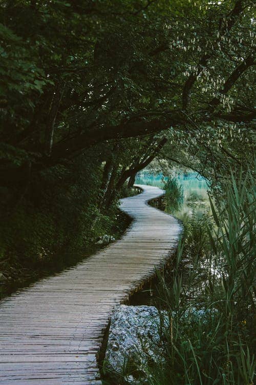 Should you follow a tariqa?